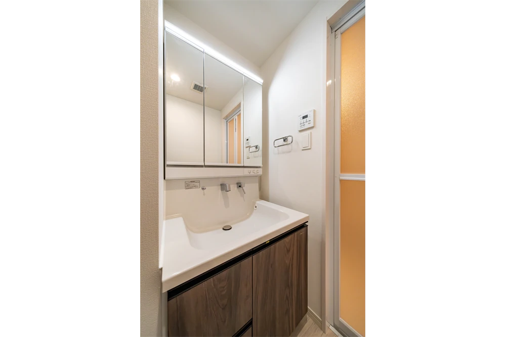 洗面脱衣所(ブラウン)